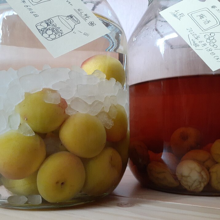 梅雨前に 4l瓶で梅酒作り レシピ 作り方 By アラレぽ 楽天レシピ 梅雨前に 4l瓶で梅酒作り レシピ 作り方 By アラレぽ 楽天レシピ